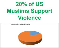muslimviolence